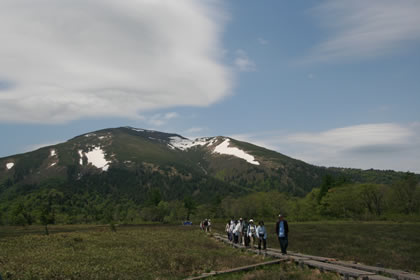 2008年6月13日尾瀬ヶ原から至仏山を撮影