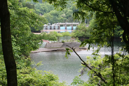 洞元湖神社