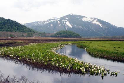 2009年6月3日尾瀬ヶ原から至仏山を撮影