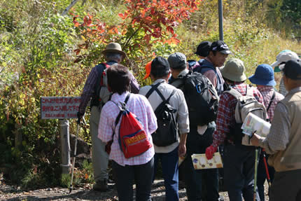 2008年秋の健康ハイキング会